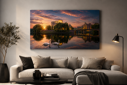 Zwanen aan het Gouvernement met een mooie zonsondergang