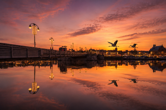 Zonsondergang met 2 reigers in Hartje Maastricht over de Maas.